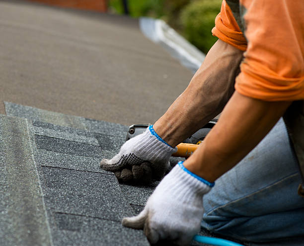 Best Roof Waterproofing Services  in Tton, IL